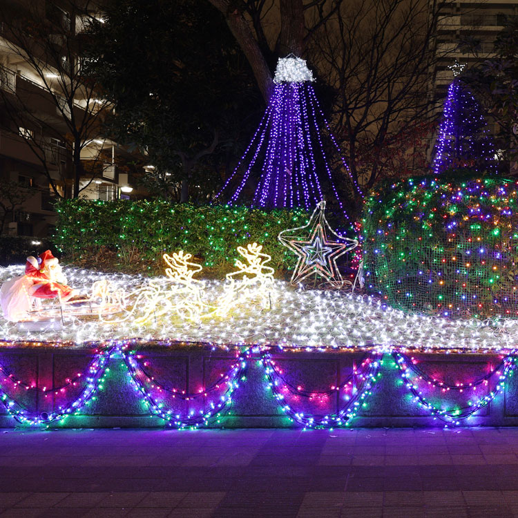 設置事例紹介：ストレートライト、ネットライト