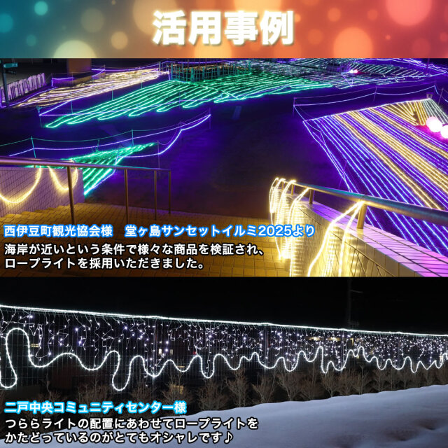 単品・コントローラー電源別売 QUALISS クオリス クリスマス LED